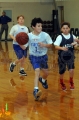 1-31-15 SA vs. HCS Pee Wee 245
